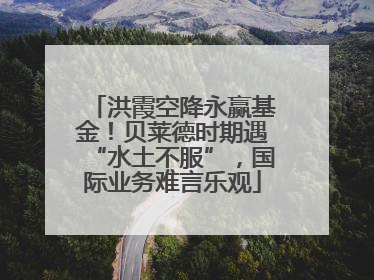 洪霞空降永赢基金！贝莱德时期遇“水土不服”，国际业务难言乐观