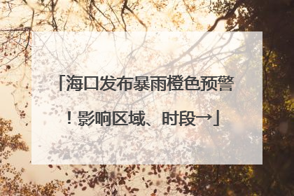 海口发布暴雨橙色预警！影响区域、时段→