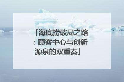 海底捞破局之路：顾客中心与创新源泉的双重奏