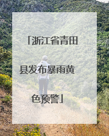 浙江省青田县发布暴雨黄色预警