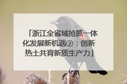 浙江全省域抢抓一体化发展新机遇②：创新热土共育新质生产力
