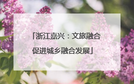 浙江嘉兴：文旅融合促进城乡融合发展