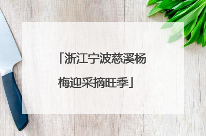 浙江宁波慈溪杨梅迎采摘旺季