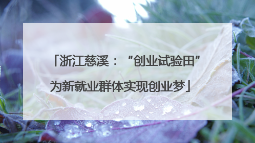 浙江慈溪：“创业试验田”为新就业群体实现创业梦
