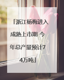 浙江杨梅进入成熟上市期 今年总产量预计74万吨