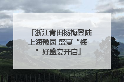 浙江青田杨梅登陆上海豫园 盛夏“梅”好盛宴开启
