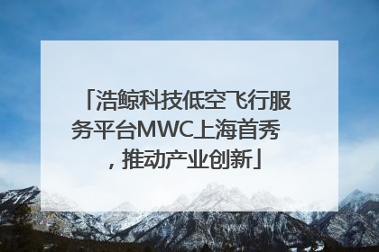 浩鲸科技低空飞行服务平台MWC上海首秀，推动产业创新