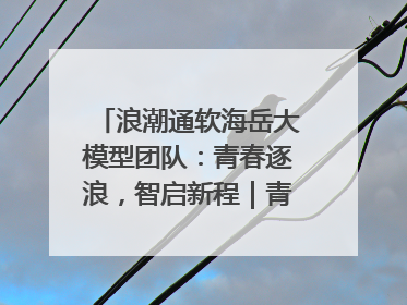 浪潮通软海岳大模型团队：青春逐浪，智启新程｜青春思政课