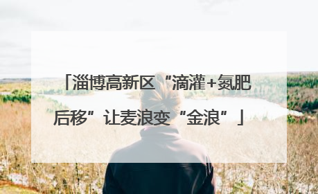 淄博高新区“滴灌+氮肥后移”让麦浪变“金浪”