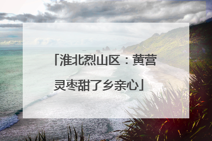 淮北烈山区：黄营灵枣甜了乡亲心