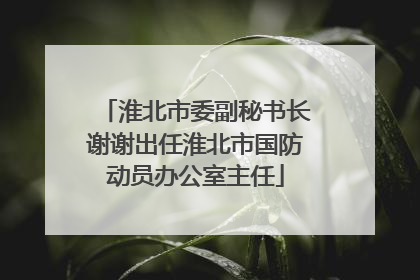 淮北市委副秘书长谢谢出任淮北市国防动员办公室主任