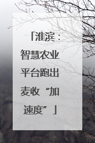 淮滨：智慧农业平台跑出麦收“加速度”