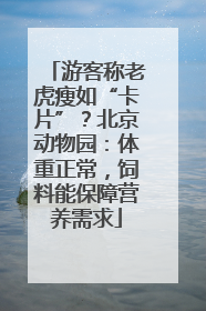 游客称老虎瘦如“卡片”？北京动物园：体重正常，饲料能保障营养需求