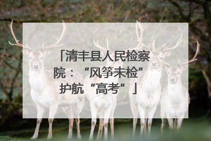 清丰县人民检察院：“风筝未检”护航“高考”