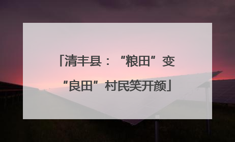 清丰县：“粮田”变“良田”村民笑开颜