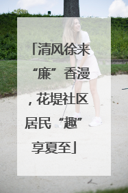 清风徐来“廉”香漫，花堤社区居民“趣”享夏至