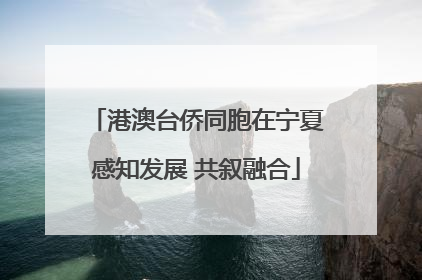港澳台侨同胞在宁夏感知发展 共叙融合