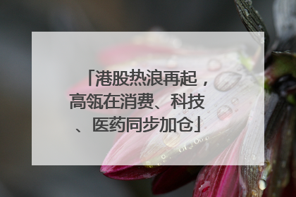 港股热浪再起，高瓴在消费、科技、医药同步加仓