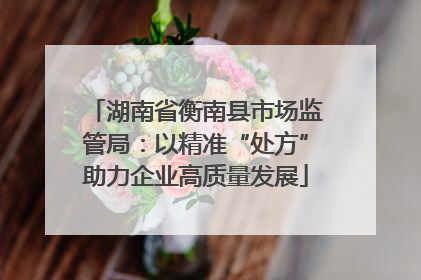 湖南省衡南县市场监管局：以精准“处方”助力企业高质量发展