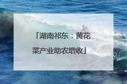 湖南祁东：黄花菜产业助农增收