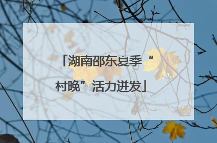 湖南邵东夏季“村晚”活力迸发