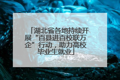 湖北省各地持续开展“百县进百校联万企”行动，助力高校毕业生就业