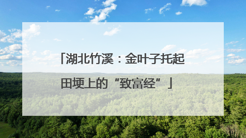 湖北竹溪：金叶子托起田埂上的“致富经”