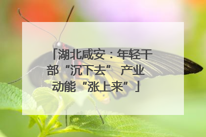 湖北咸安：年轻干部“沉下去” 产业动能“涨上来”