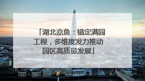 湖北嘉鱼：锚定满园工程，多维度发力推动园区高质量发展