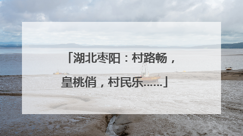 湖北枣阳：村路畅，皇桃俏，村民乐……