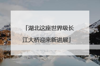 湖北这座世界级长江大桥迎来新进展