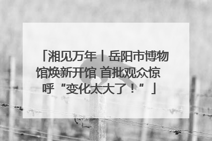 湘见万年丨岳阳市博物馆焕新开馆 首批观众惊呼“变化太大了！”