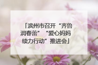 滨州市召开“齐鲁润春蕾”“爱心妈妈续力行动”推进会