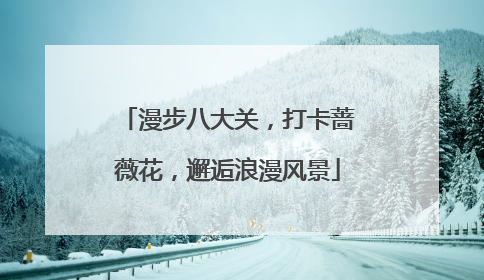 漫步八大关，打卡蔷薇花，邂逅浪漫风景