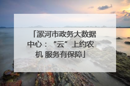 漯河市政务大数据中心：“云”上约农机 服务有保障