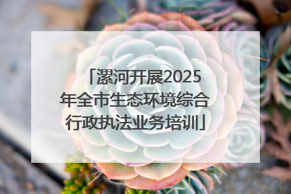 漯河开展2025年全市生态环境综合行政执法业务培训