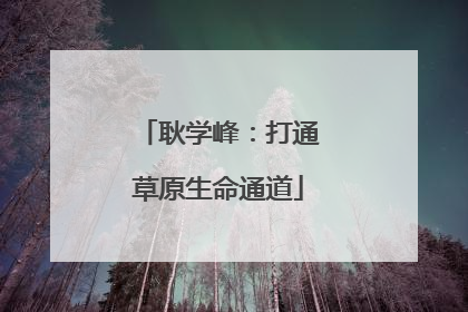 耿学峰：打通草原生命通道