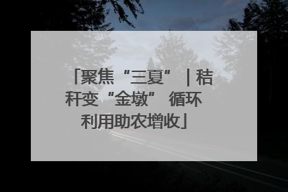 聚焦“三夏”｜秸秆变“金墩” 循环利用助农增收
