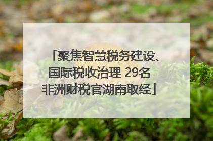 聚焦智慧税务建设、国际税收治理 29名非洲财税官湖南取经
