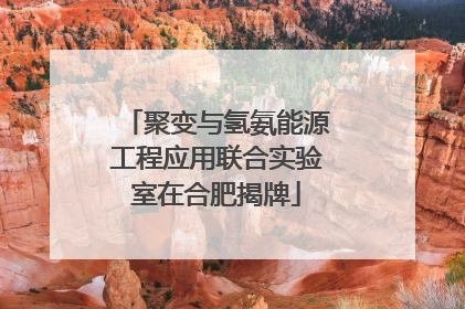 聚变与氢氨能源工程应用联合实验室在合肥揭牌