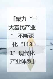 聚力“三大富民产业” 不断深化“1131”现代化产业体系