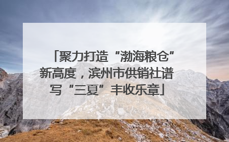 聚力打造“渤海粮仓”新高度，滨州市供销社谱写“三夏”丰收乐章