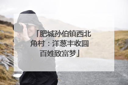 肥城孙伯镇西北角村：洋葱丰收圆百姓致富梦