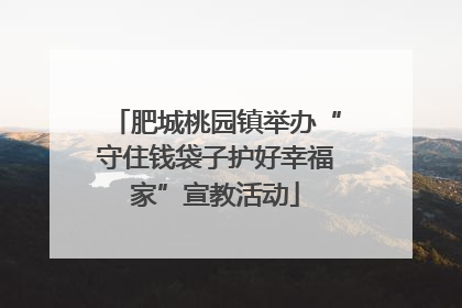 肥城桃园镇举办“守住钱袋子护好幸福家”宣教活动