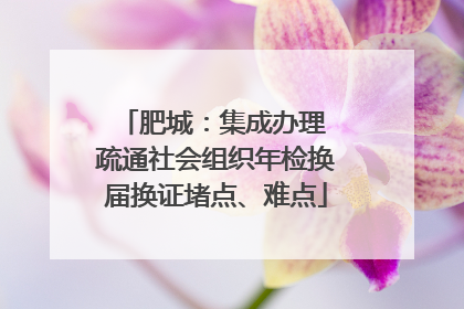 肥城：集成办理 疏通社会组织年检换届换证堵点、难点