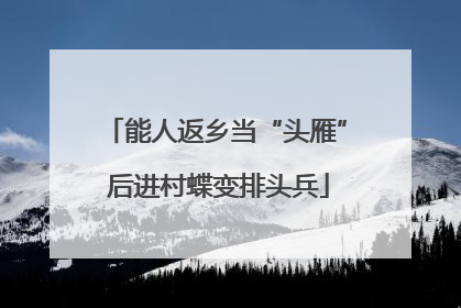 能人返乡当“头雁” 后进村蝶变排头兵