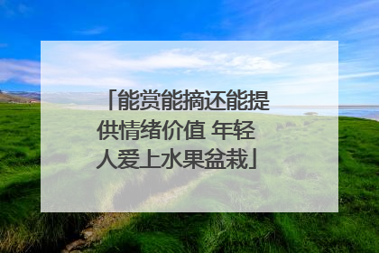 能赏能摘还能提供情绪价值 年轻人爱上水果盆栽