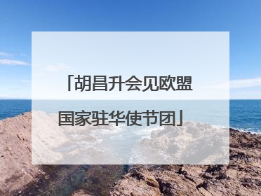 胡昌升会见欧盟国家驻华使节团
