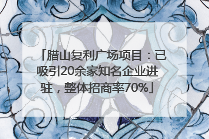 腊山复利广场项目：已吸引20余家知名企业进驻，整体招商率70%