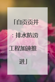 自贡贡井：排水防涝工程加速推进